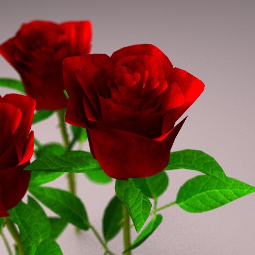 Free Obj Model Rose Lightwave Petal