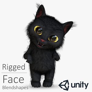 Humanoid Rigged Cat Character with Blendshapes