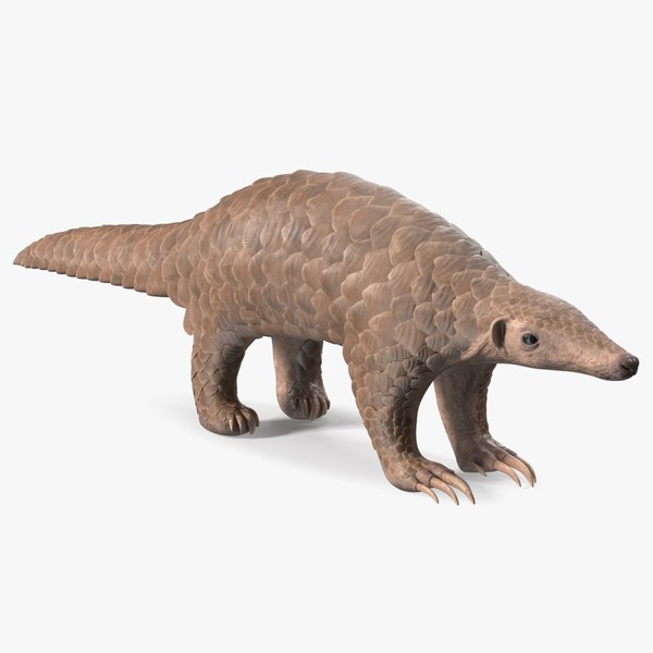 Pangolin 3D model