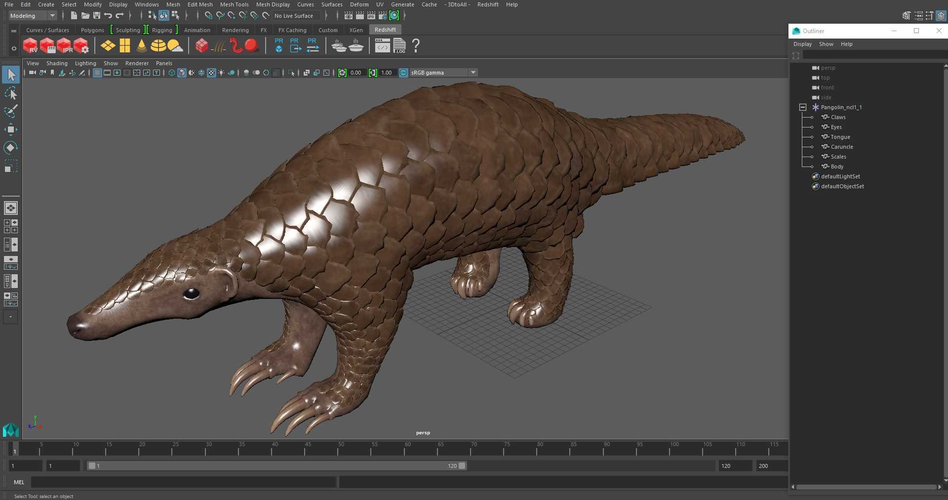 Pangolin 3D Model - TurboSquid 2218498