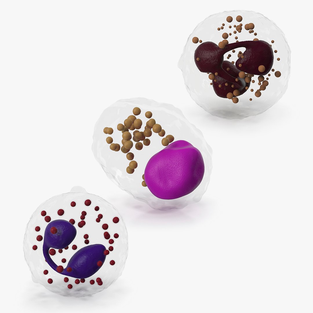 Blood Cells Collection 3 3D model preview