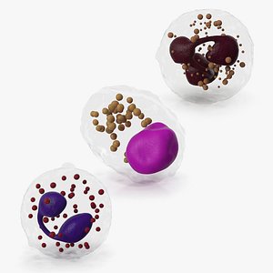 Blood Cells Collection 3
