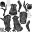 Basics0388 - A set containing 5 models of male and female adults walking in casual attire in public