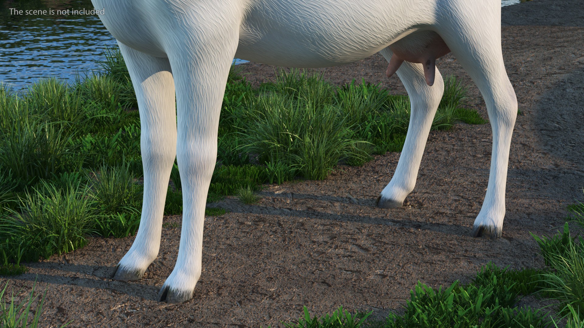 3D Goat Saanen Breed model https://p.turbosquid.com/ts-thumb/cz/GLeJl4/Ij/goatsaanenbreed3dsmodel005/jpg/1669200976/1920x1080/fit_q87/11e2dacf64f6e668986c0912fea3aad2ff872313/goatsaanenbreed3dsmodel005.jpg