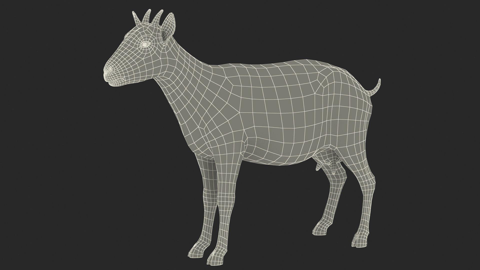 3D Goat Saanen Breed model https://p.turbosquid.com/ts-thumb/cz/GLeJl4/cZ/goatsaanenbreed3dsmodel021/jpg/1669201027/1920x1080/fit_q87/2549f1ce1144f3cc0731c7309c57a3374013bc66/goatsaanenbreed3dsmodel021.jpg