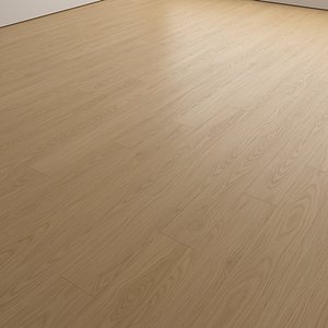3D Oak Wood Flooring and Parquet Set 54