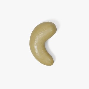 cashew 3D model