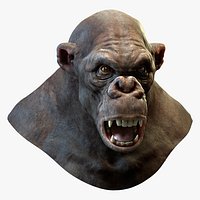 Gorilla Head (No Hair)