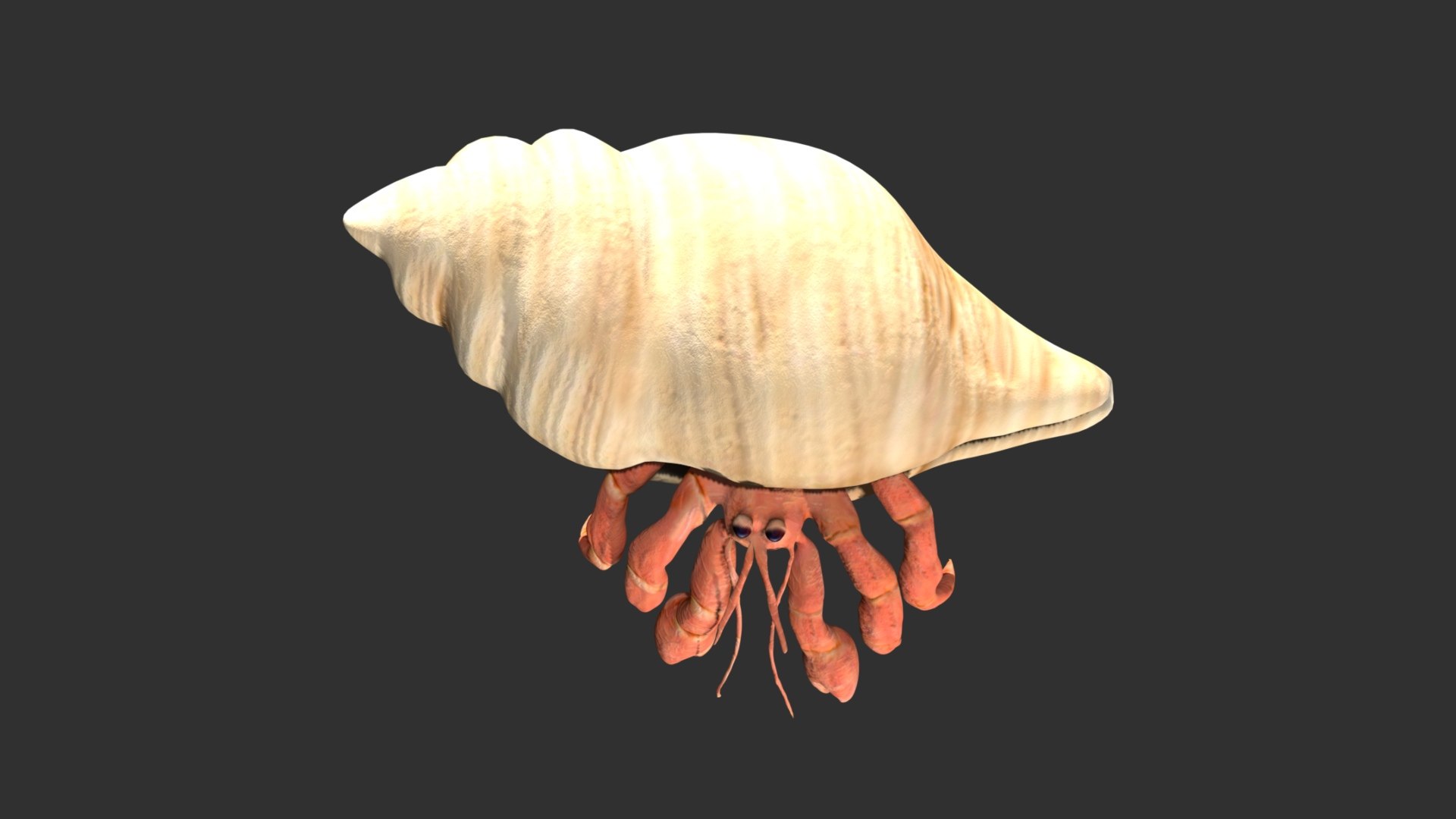 3D model Hermit Crab https://p.turbosquid.com/ts-thumb/cz/RgQFEA/Af/15/jpg/1627565369/1920x1080/fit_q87/91fa5f97d0f0291d250b62fb90db05808b20fa2e/15.jpg