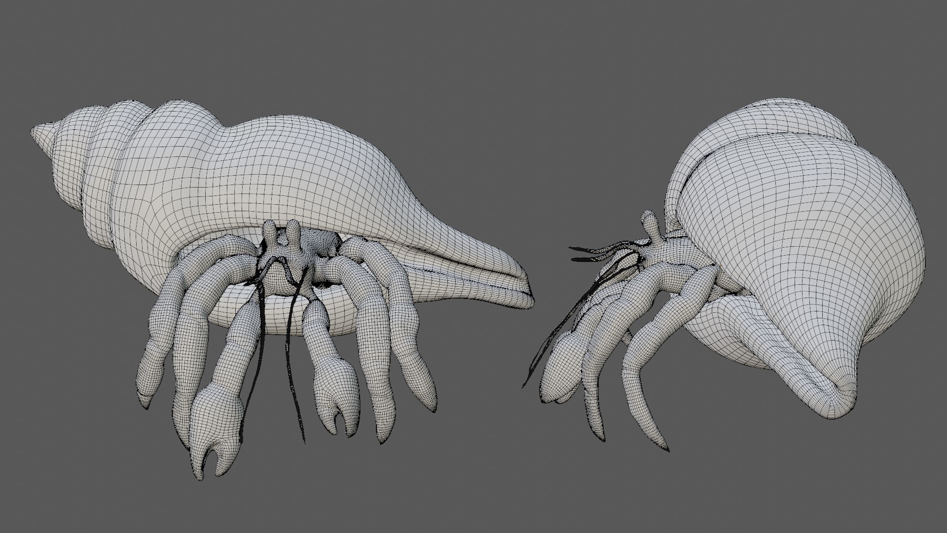 3D model Hermit Crab https://p.turbosquid.com/ts-thumb/cz/RgQFEA/dz/19/jpg/1627565371/1920x1080/fit_q87/dbced64dd6142b90a0ff84be32f586cf5d1b0b5c/19.jpg