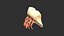 Hermit Crab