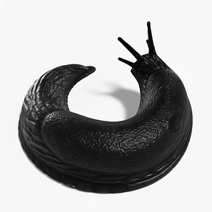 Black Slug 3D model