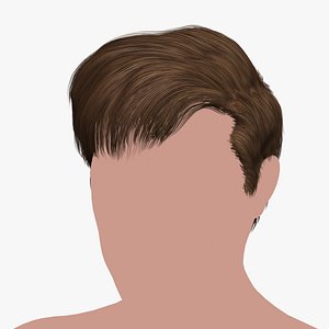 hairstyle 26 hair 3D