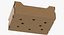 Cardboard Display Box 03 with Mango