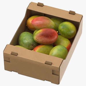 cardboard display box mangos 3D model