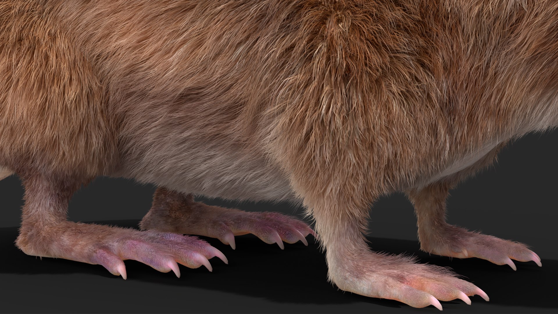 Shrew Fur Rigged 3D https://p.turbosquid.com/ts-thumb/cz/m1exM8/5Z/shrewfurriggedvray3dmodel030/jpg/1702378233/1920x1080/fit_q87/671de841f46cc2c5640d5ddcaf1e165e6a4f83eb/shrewfurriggedvray3dmodel030.jpg