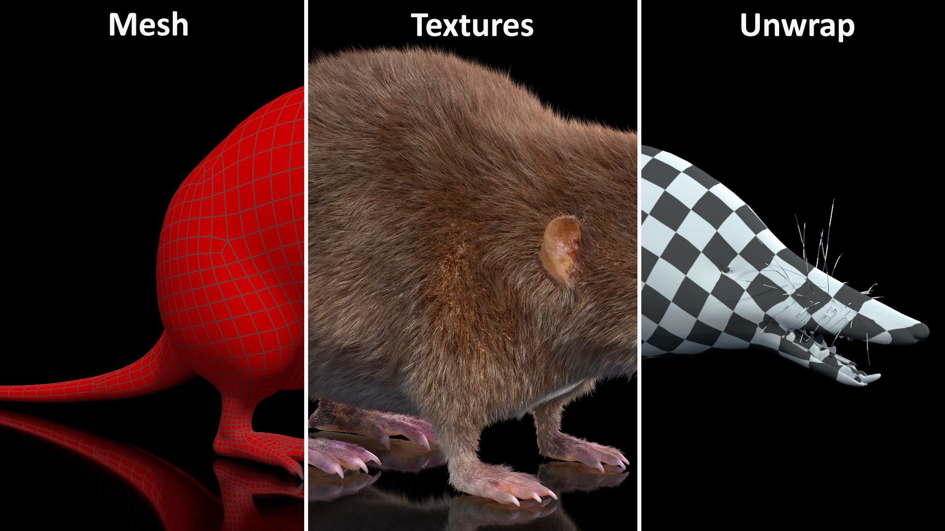 Shrew Fur Rigged 3D https://p.turbosquid.com/ts-thumb/cz/m1exM8/nO/shrewfurriggedvray3dmodel032/jpg/1702378241/1920x1080/fit_q87/34ab76f932cdfa422a0c9cf32dcd88d460c84d10/shrewfurriggedvray3dmodel032.jpg