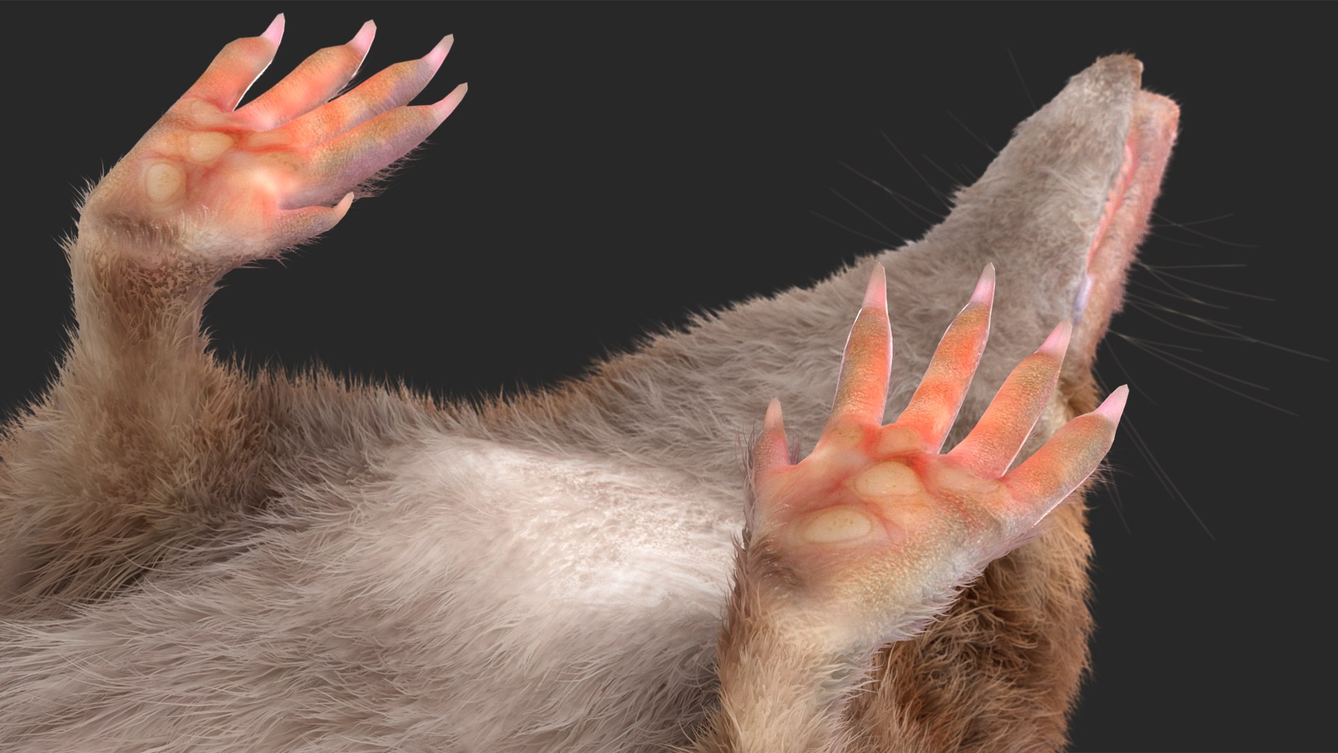 Shrew Fur Rigged 3D https://p.turbosquid.com/ts-thumb/cz/m1exM8/p5/shrewfurriggedvray3dmodel023/jpg/1702378202/1920x1080/fit_q87/63c96f4e74cca3cd3304ab6fdbf116a5770d5315/shrewfurriggedvray3dmodel023.jpg
