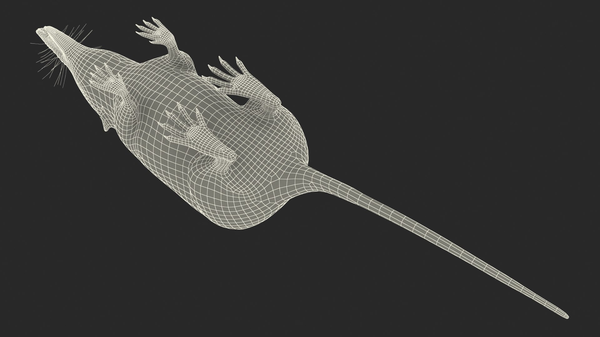 Shrew Fur Rigged 3D https://p.turbosquid.com/ts-thumb/cz/m1exM8/qi/shrewfurriggedvray3dmodel041/jpg/1702378276/1920x1080/fit_q87/7e21f58ee3aa1448fafe30fbde26b54038fa1cba/shrewfurriggedvray3dmodel041.jpg