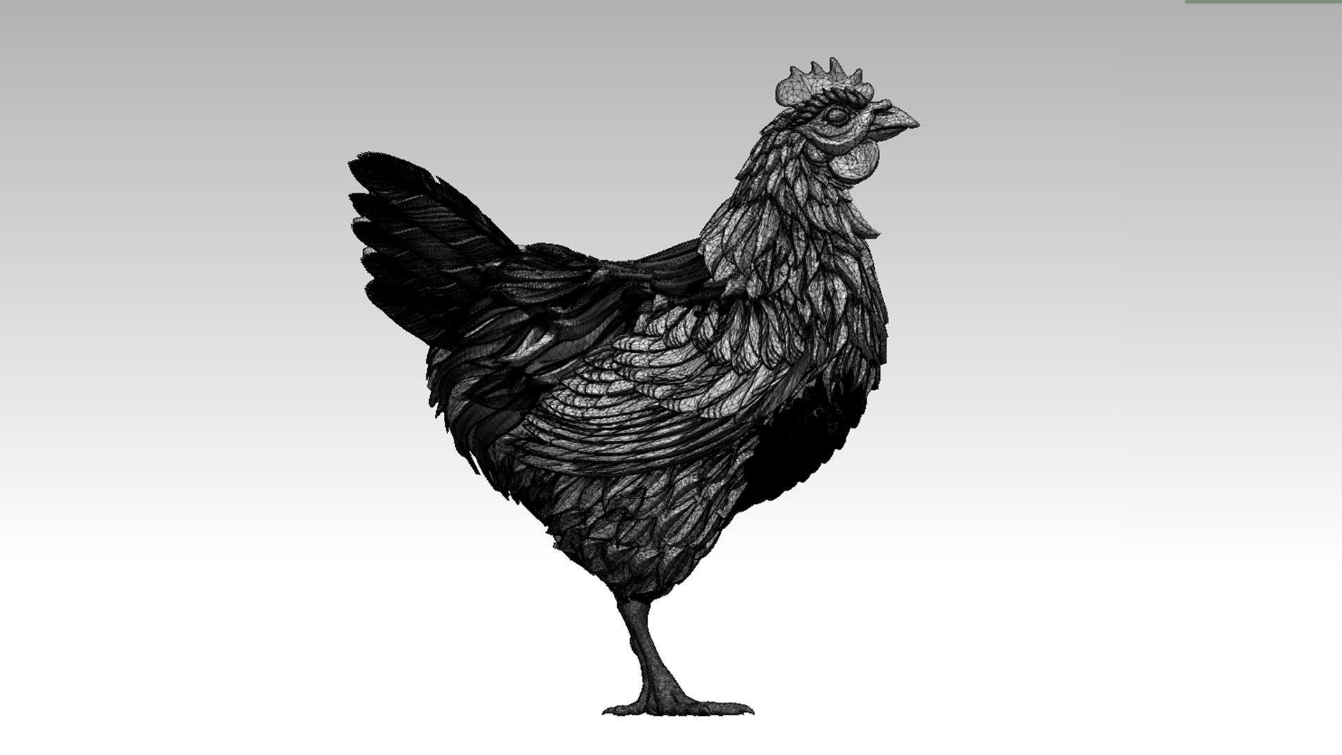 Hen 3D Model - TurboSquid 2120479