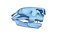 Great White Shark Skull