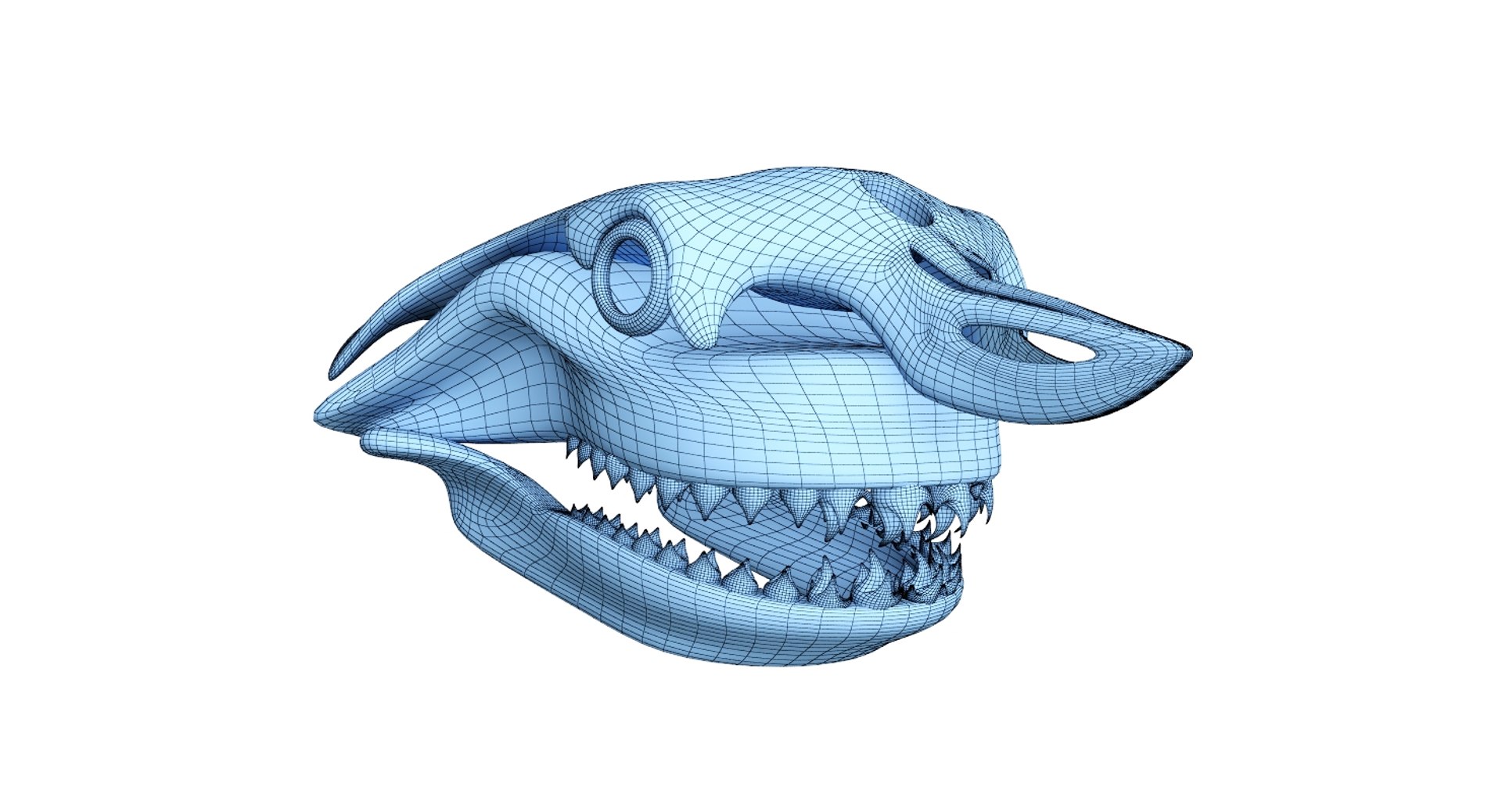 great shark skull 3D https://p.turbosquid.com/ts-thumb/cz/zSkL9x/8MqadYDg/net7/jpg/1542880806/1920x1080/fit_q87/fc6300ab3c33f304bf906a8af43c58bd61b0c6d2/net7.jpg