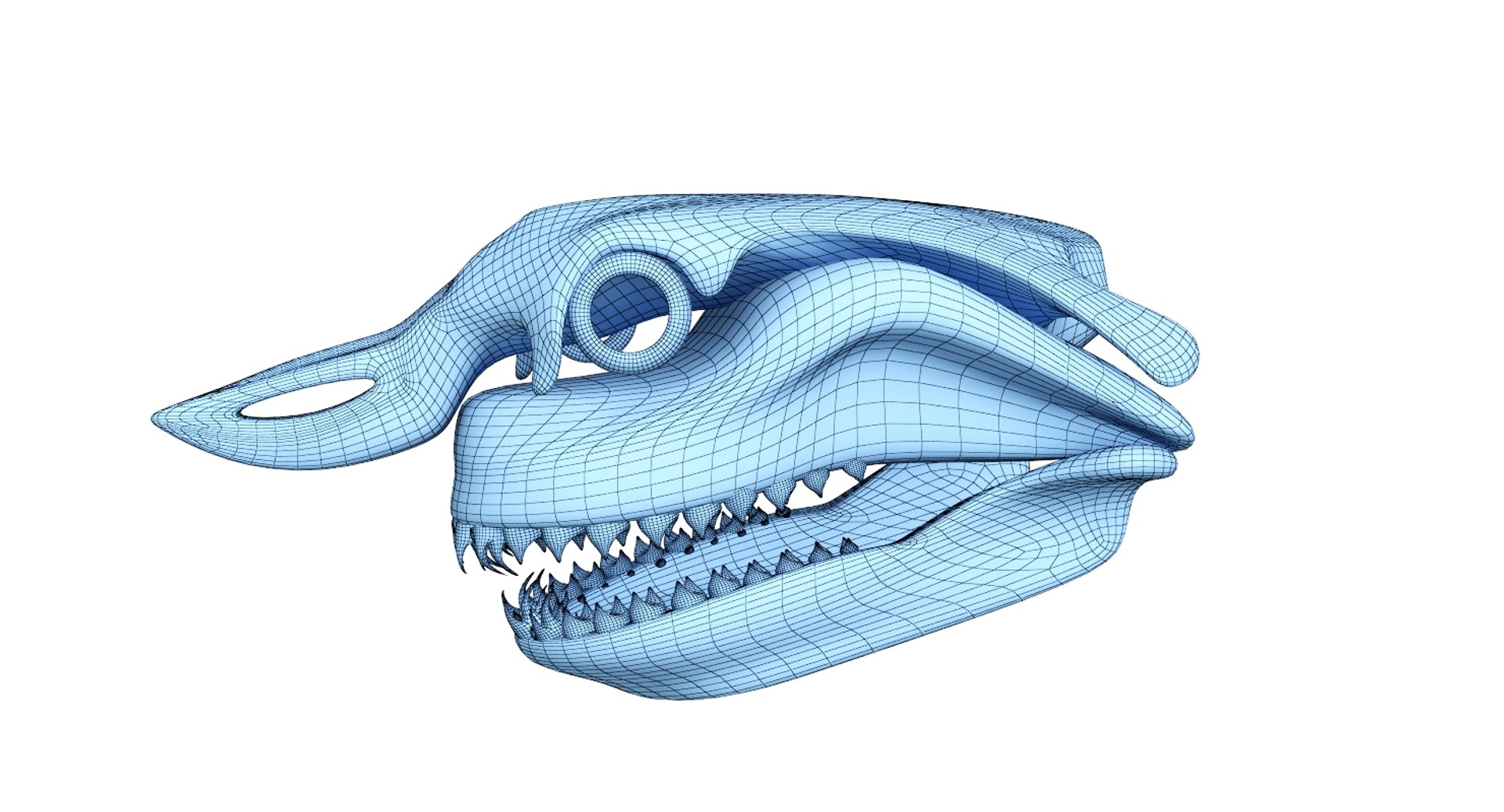 great shark skull 3D https://p.turbosquid.com/ts-thumb/cz/zSkL9x/8SeNi2kA/net2/jpg/1542880805/1920x1080/fit_q87/8093ce3184bc77098339ea2c32d461ec658cd63a/net2.jpg