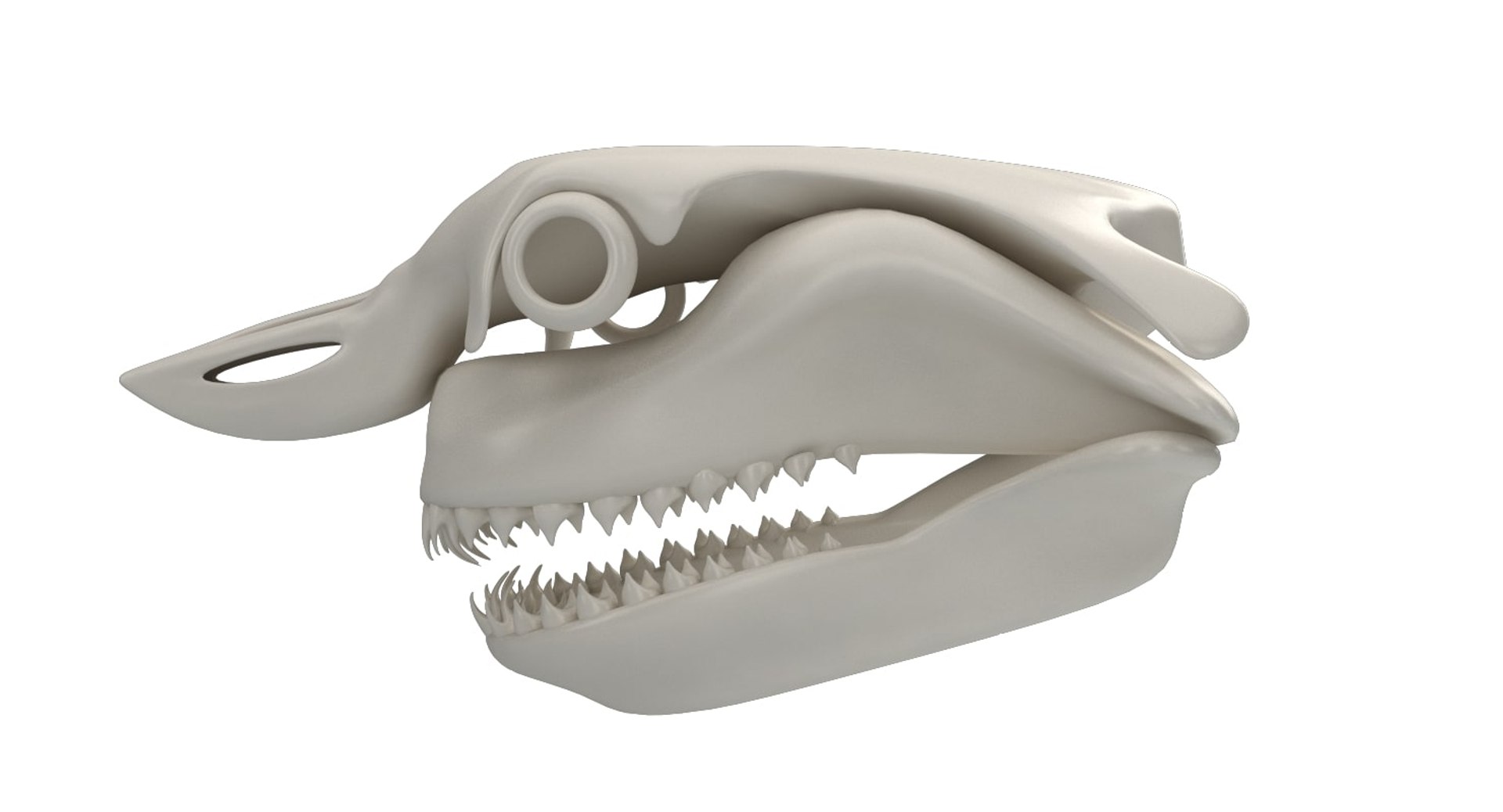 great shark skull 3D https://p.turbosquid.com/ts-thumb/cz/zSkL9x/ANsqzz5p/10001/jpg/1542880805/1920x1080/fit_q87/4ada4aab5c568943a50e8fda1c66e4c064bf6c45/10001.jpg