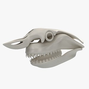 great shark skull 3D