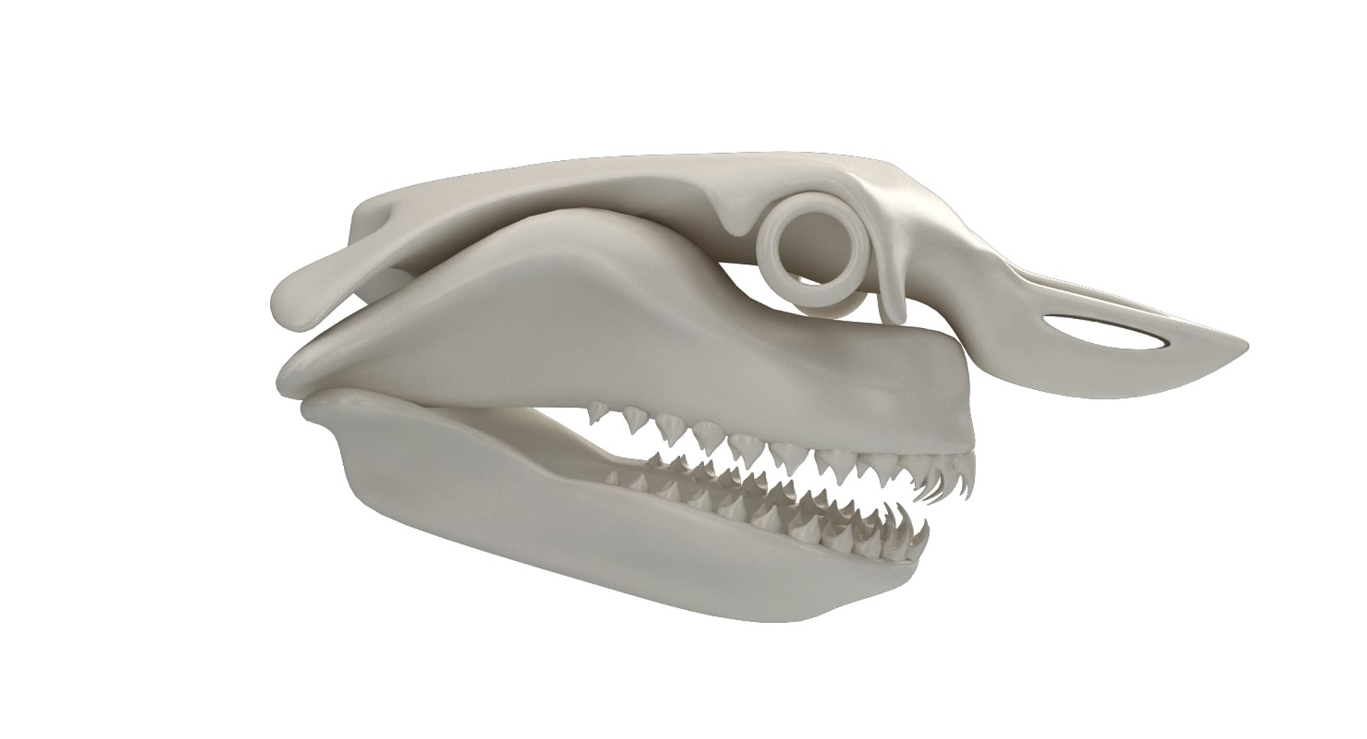 great shark skull 3D https://p.turbosquid.com/ts-thumb/cz/zSkL9x/QDCnHLPV/10004/jpg/1542880805/1920x1080/fit_q87/d4f97fcb39526f2553d49d59f5e8db238d4a9c83/10004.jpg