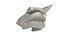 Great White Shark Skull