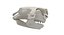 Great White Shark Skull