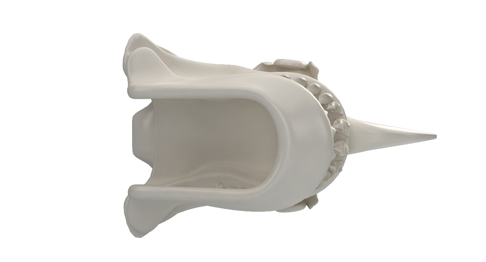 great shark skull 3D https://p.turbosquid.com/ts-thumb/cz/zSkL9x/kjcpoqdN/10007/jpg/1542880805/1920x1080/fit_q87/fb846b59b5a7af93e53ede839a90313eefd34107/10007.jpg