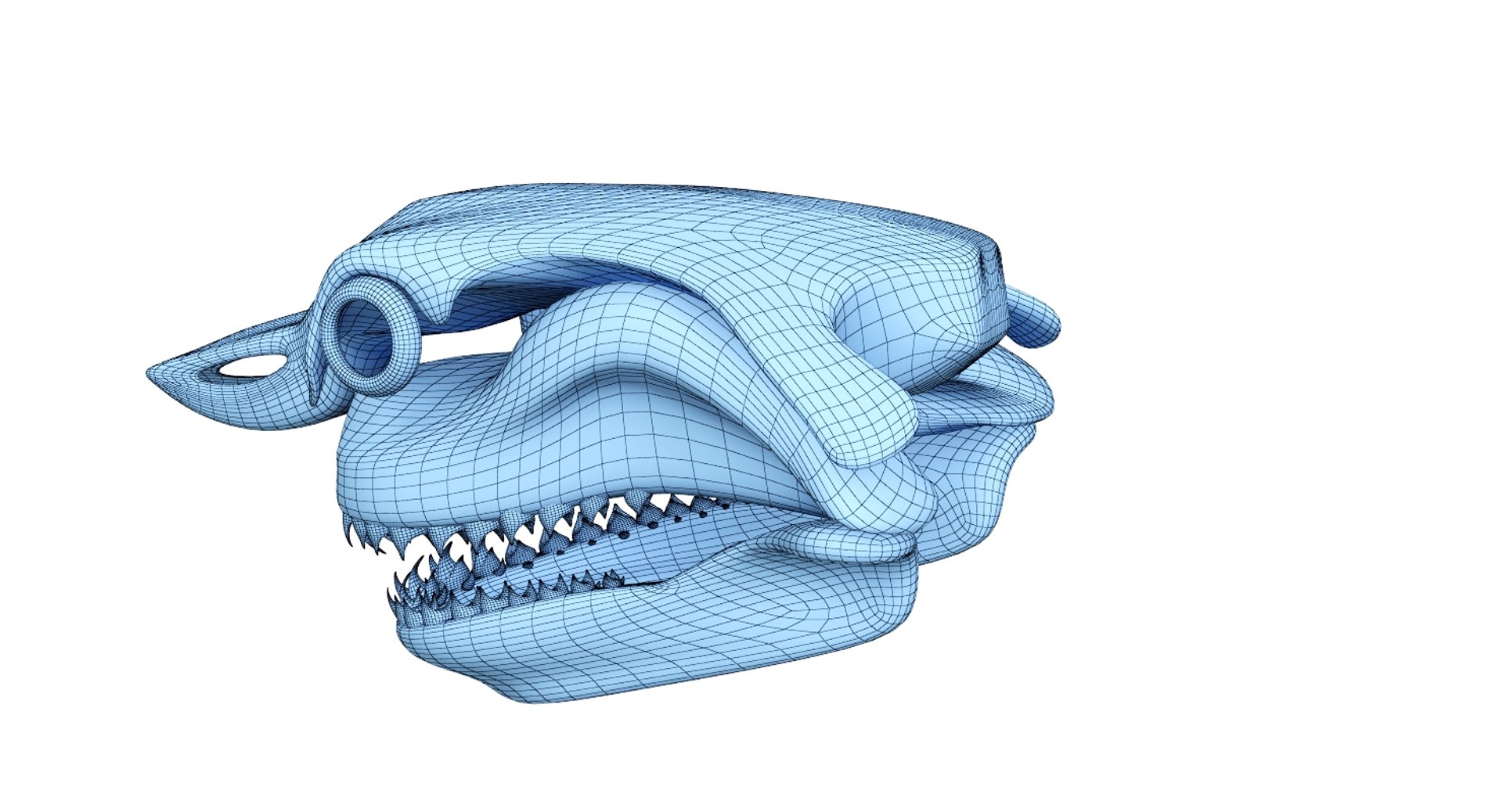 great shark skull 3D https://p.turbosquid.com/ts-thumb/cz/zSkL9x/pjEbY8Vq/net3/jpg/1542880805/1920x1080/fit_q87/4440c6009c21389ba9903c878db7e5d8b9a378e7/net3.jpg