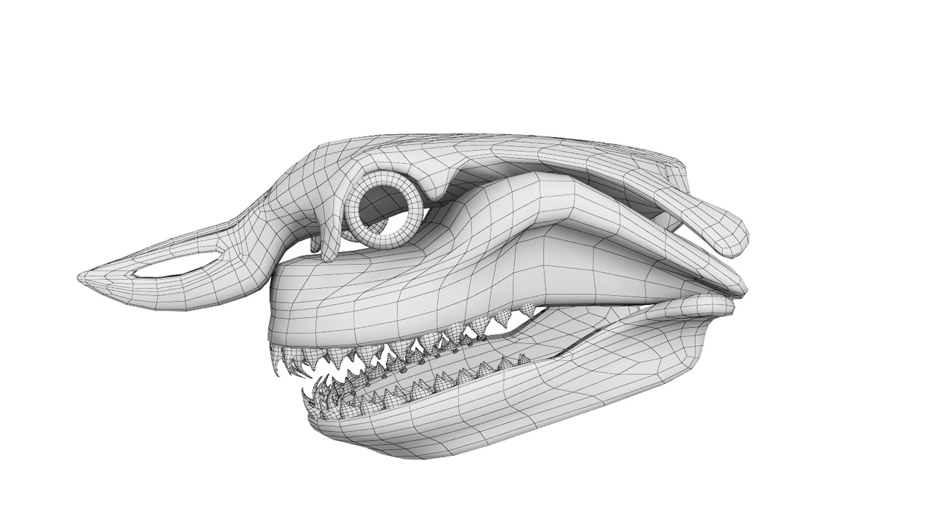 great shark skull 3D https://p.turbosquid.com/ts-thumb/cz/zSkL9x/re/2/jpg/1748943208/1920x1080/fit_q87/8e23a741f7182145ce1c036f773b6a05b8a289ba/2.jpg