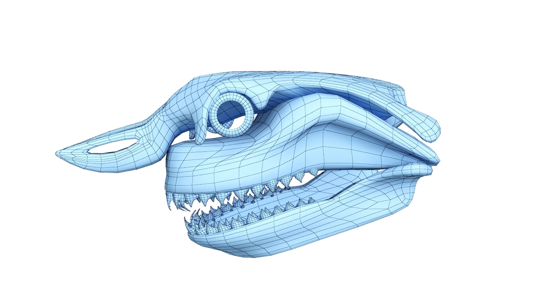 great shark skull 3D https://p.turbosquid.com/ts-thumb/cz/zSkL9x/tDT5Vx5z/net1/jpg/1542880805/1920x1080/fit_q87/51e37e5744a3e80447ae0ab2e2f1eb1472832b4c/net1.jpg