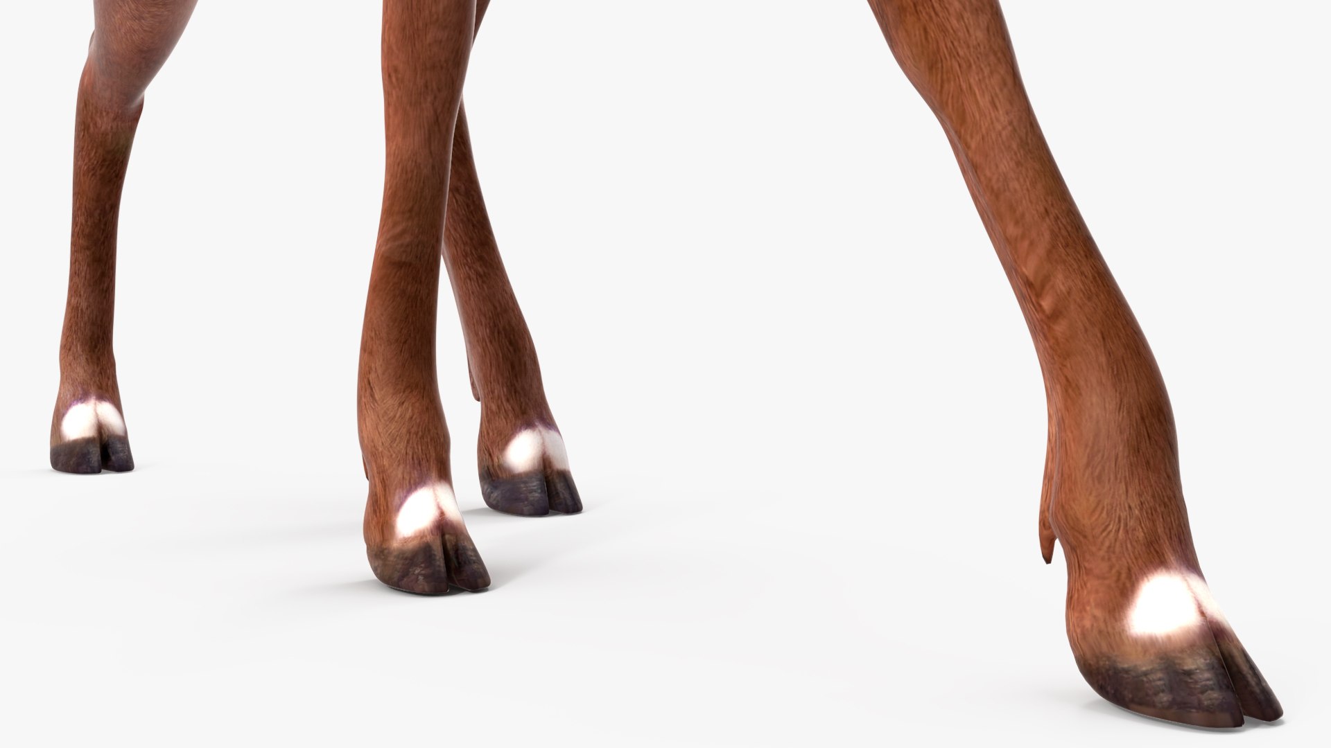 3D Saola Walking https://p.turbosquid.com/ts-thumb/d0/5BqGc2/1J/saolawalkingmb3dmodel016/jpg/1710237211/1920x1080/fit_q87/89b854f35e0bb5e2250bd3bc6c063b0a476c0bd0/saolawalkingmb3dmodel016.jpg