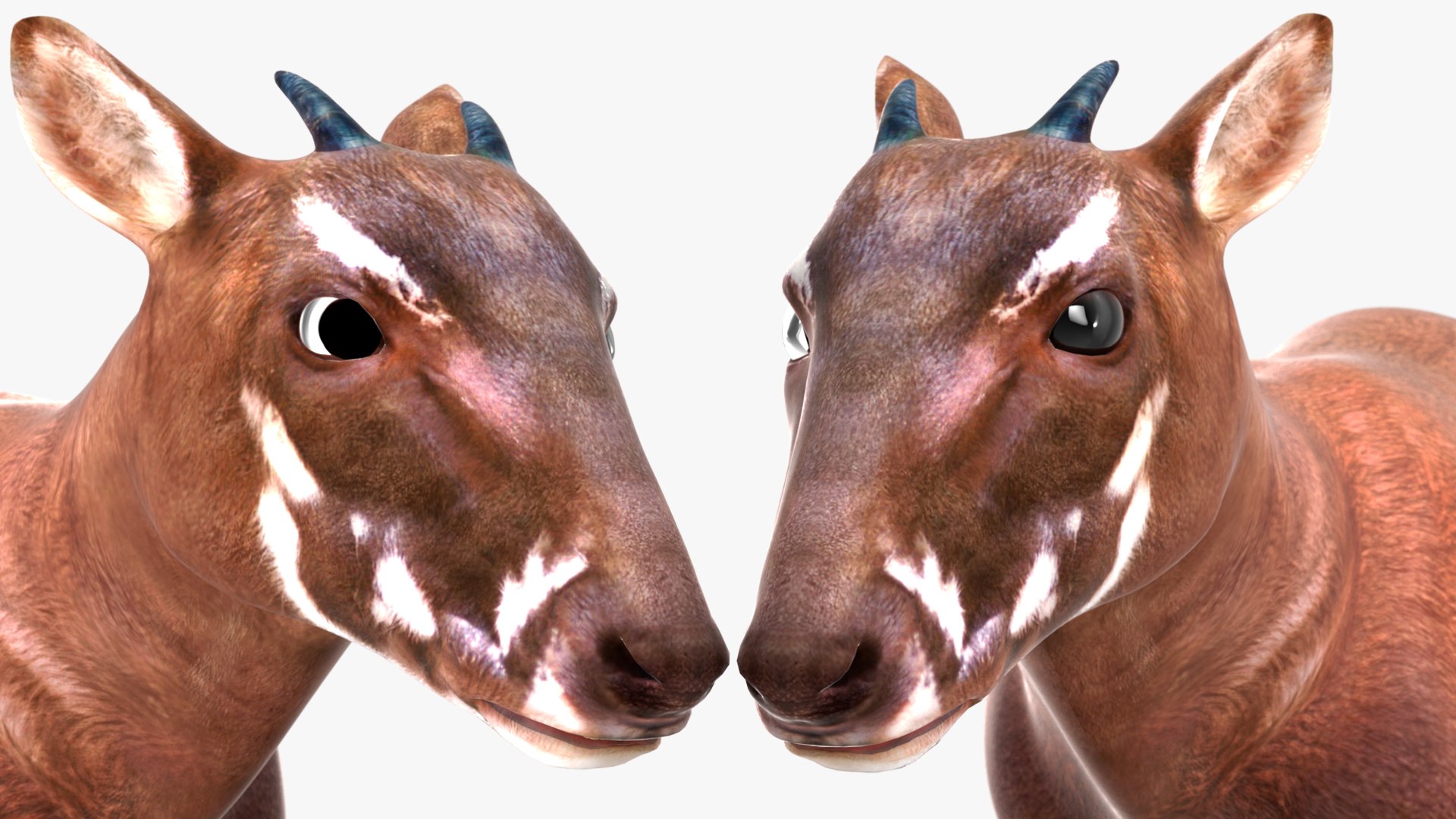3D Saola Walking https://p.turbosquid.com/ts-thumb/d0/5BqGc2/2m/saolawalkingmb3dmodel018/jpg/1710237218/1920x1080/fit_q87/ebcfc8c2207084deef53112cdc5522920fbd439f/saolawalkingmb3dmodel018.jpg