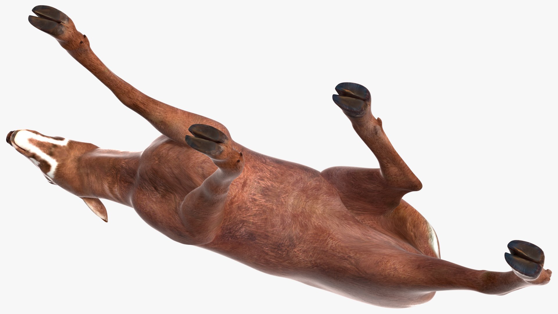 3D Saola Walking https://p.turbosquid.com/ts-thumb/d0/5BqGc2/5k/saolawalkingmb3dmodel012/jpg/1710237199/1920x1080/fit_q87/d8098063a26fbb08626f879b9c860fada1d42737/saolawalkingmb3dmodel012.jpg