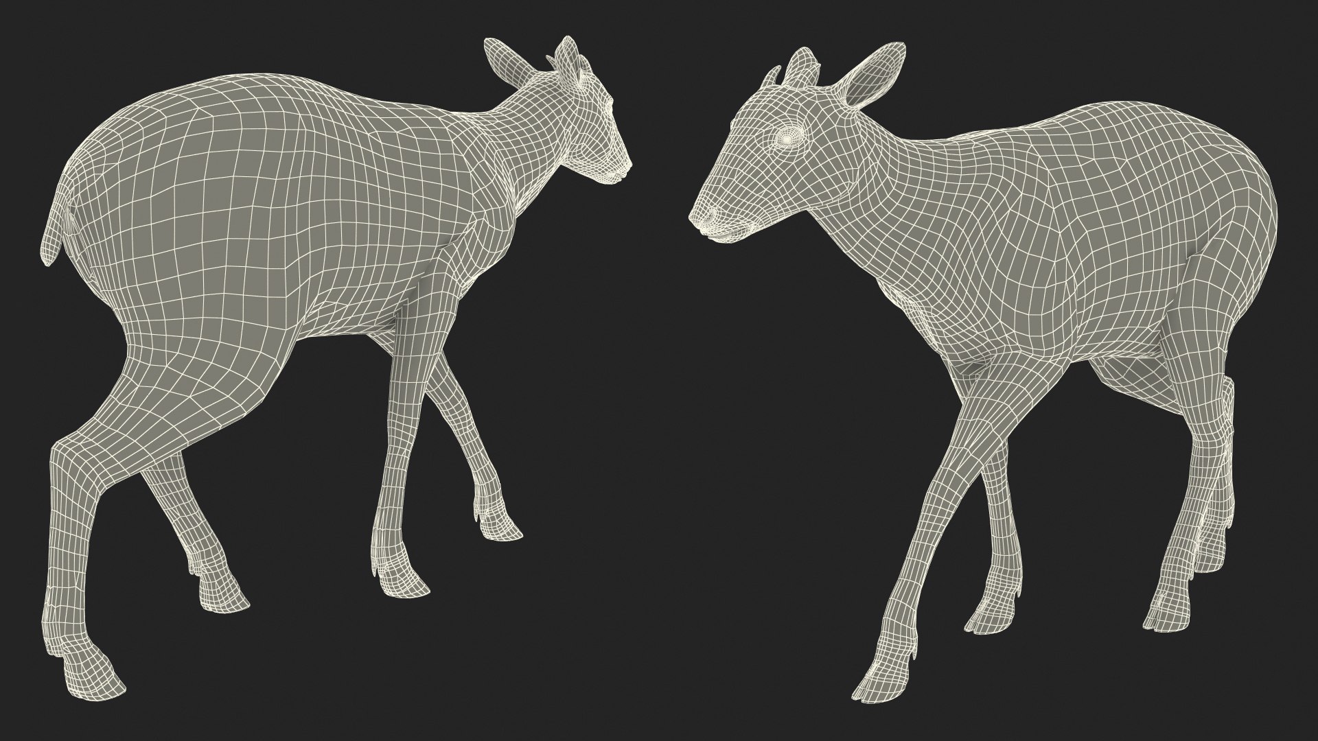 3D Saola Walking https://p.turbosquid.com/ts-thumb/d0/5BqGc2/HN/saolawalkingmb3dmodel029/jpg/1710237252/1920x1080/fit_q87/aa8bca2f8b7191ed65a8bba1bb47e88976643bad/saolawalkingmb3dmodel029.jpg