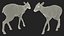 Saola Walking