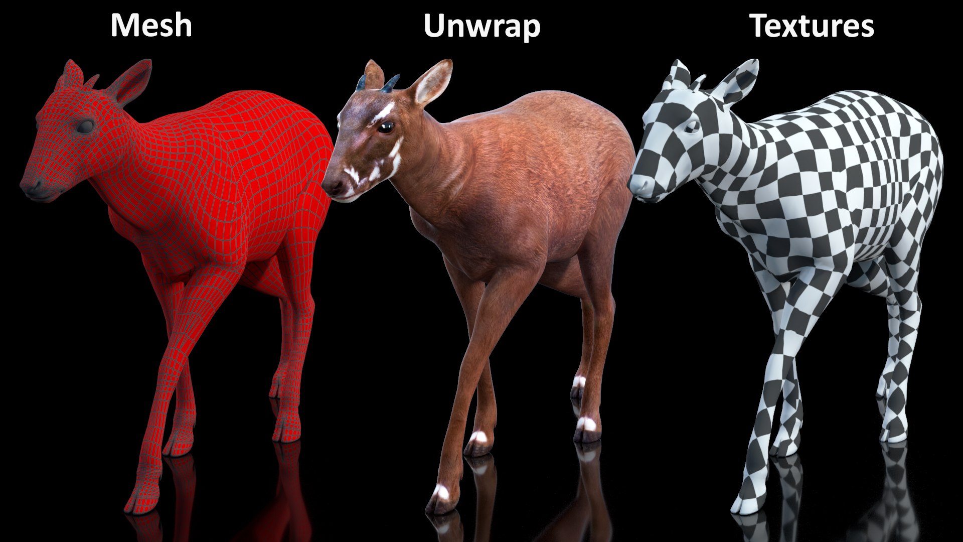 3D Saola Walking https://p.turbosquid.com/ts-thumb/d0/5BqGc2/aZ/saolawalkingmb3dmodel020/jpg/1710237224/1920x1080/fit_q87/6fd232679588ce61ea3aa7370e13ec5e160eff2b/saolawalkingmb3dmodel020.jpg