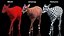 Saola Walking