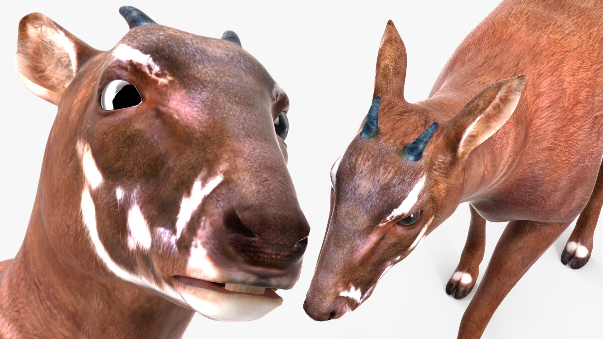 3D Saola Walking https://p.turbosquid.com/ts-thumb/d0/5BqGc2/bD/saolawalkingmb3dmodel019/jpg/1710237221/1920x1080/fit_q87/72cb125ce8137bc6e0d2717a6a6043bc15c86810/saolawalkingmb3dmodel019.jpg