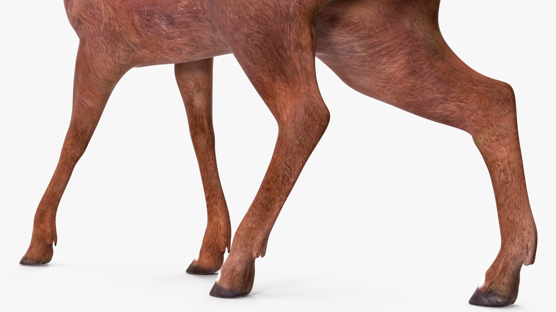 3D Saola Walking https://p.turbosquid.com/ts-thumb/d0/5BqGc2/gR/saolawalkingmb3dmodel017/jpg/1710237214/1920x1080/fit_q87/909b44180dd6cd4b9edb6ef6468150614832a339/saolawalkingmb3dmodel017.jpg