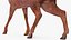Saola Walking