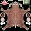 Saola Walking