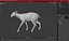 Saola Walking