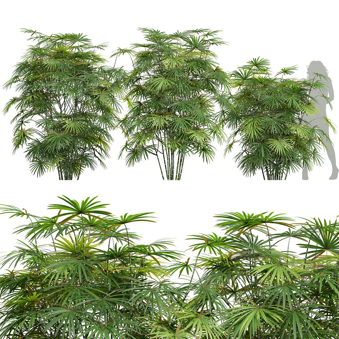 Different SETS Of Bush Set Vol 26 3D Model - TurboSquid 2186748