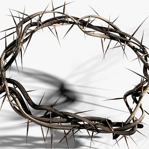 Crown Of Thorns